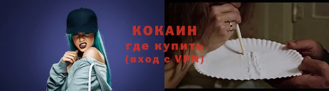 кокс Магас