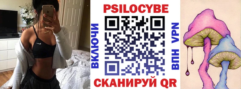 купить наркотик  Новоалександровск  Галлюциногенные грибы Psilocybe 