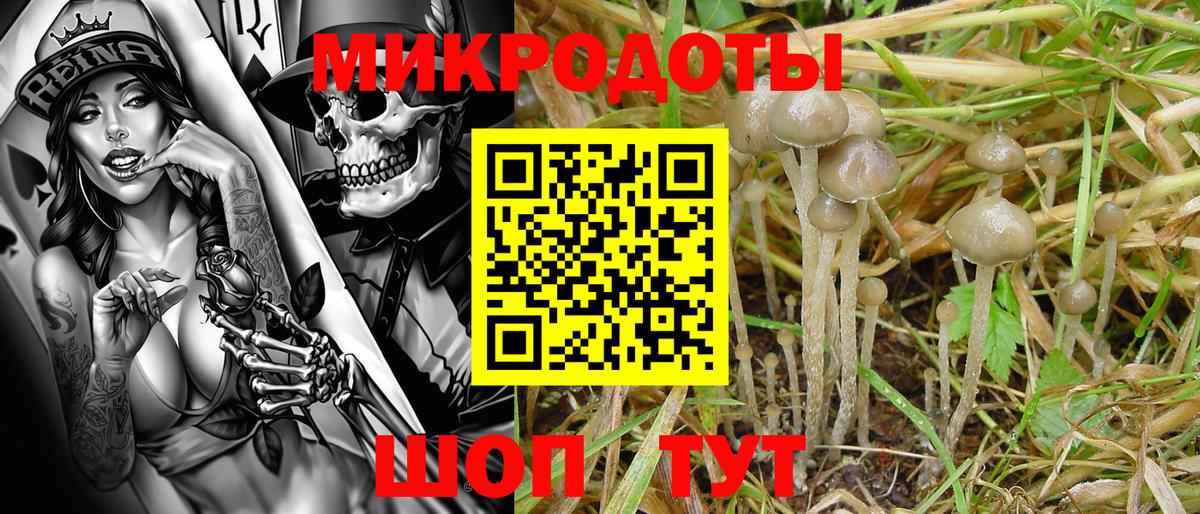 Галлюциногенные грибы Magic Shrooms Новоалександровск