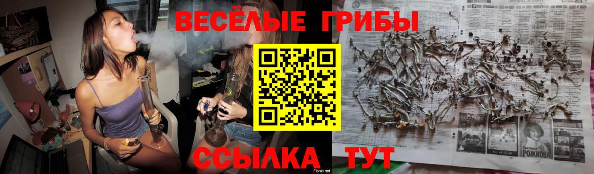 Новоалександровск  Псилоцибиновые грибы MAGIC MUSHROOMS  Галлюциногенные грибы мухоморы  Вход с VPN 
